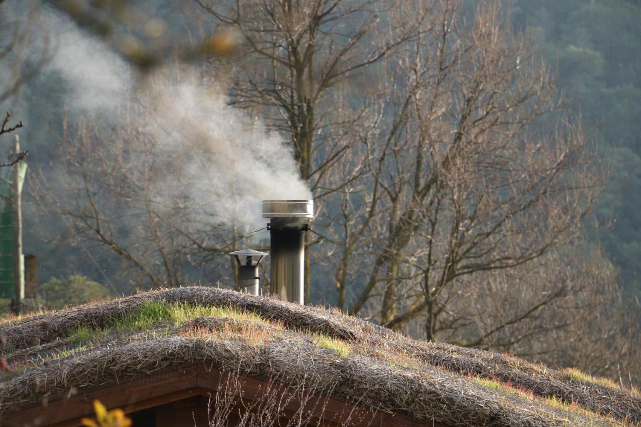 Casa Ecologica En Plena Naturaleza Arboli Exterior foto